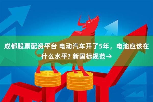 成都股票配资平台 电动汽车开了5年，电池应该在什么水平? 新国标规范→