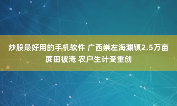 炒股最好用的手机软件 广西崇左海渊镇2.5万亩蔗田被淹 农户生计受重创