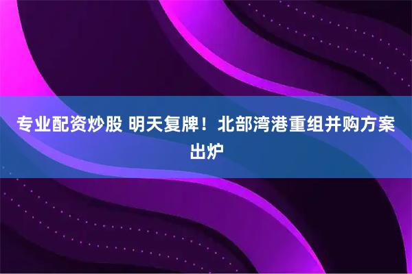 专业配资炒股 明天复牌！北部湾港重组并购方案出炉